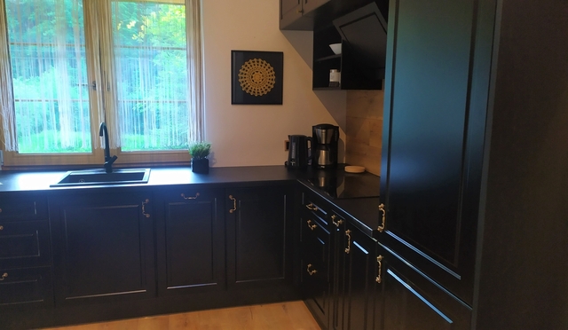 Bieszczady - Domek nad stawem - Kuchnia w kolorze czarnym, z płytą indukcyjną i zmywarką.